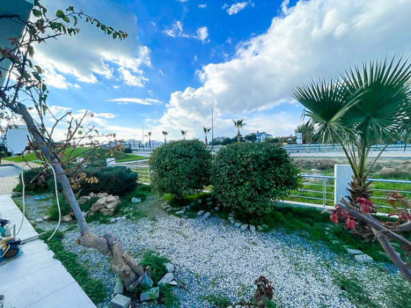 Private garden of 3-bedroom villa with palm trees and greenery at Caesar Beach